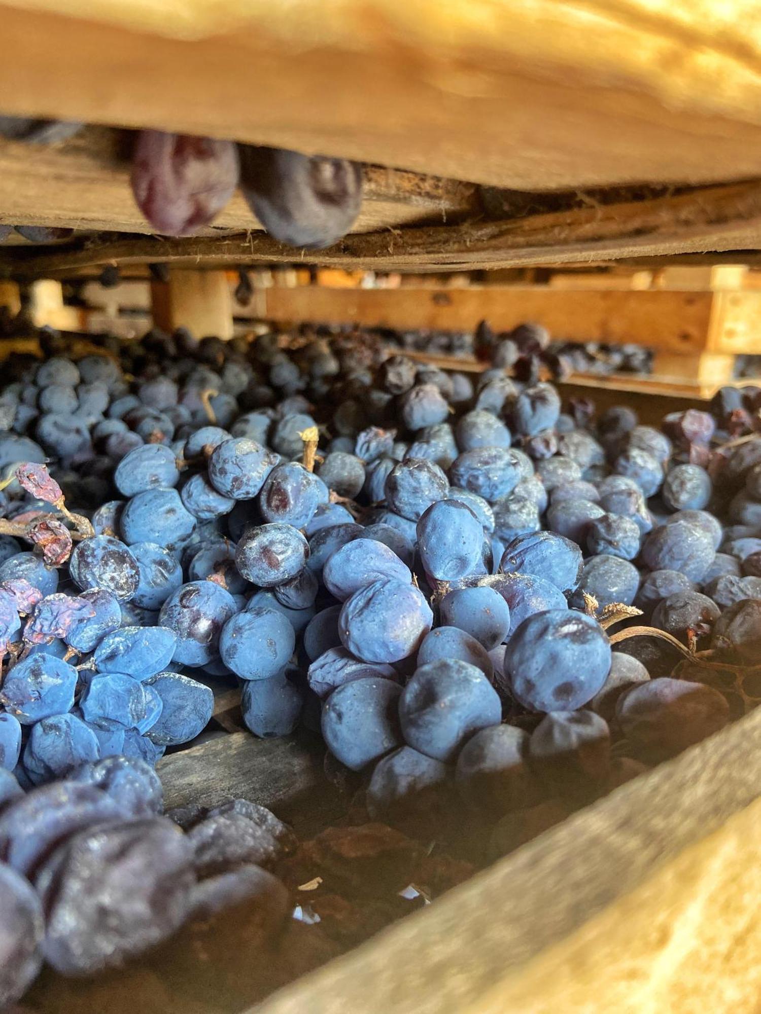 Agroturismo La Vineria Di San Mattia *