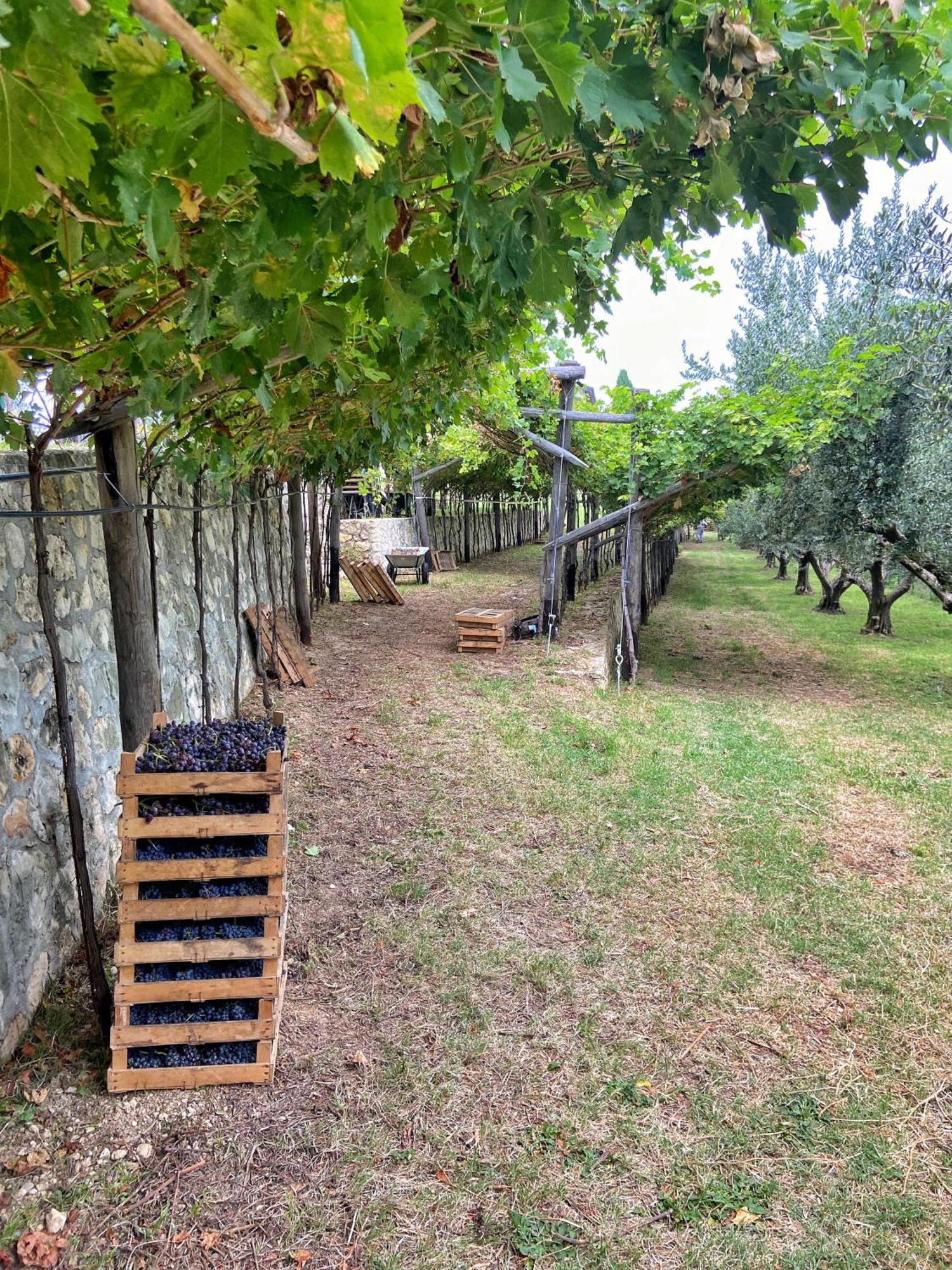 La Vineria Di San Mattia Farm stay Verona