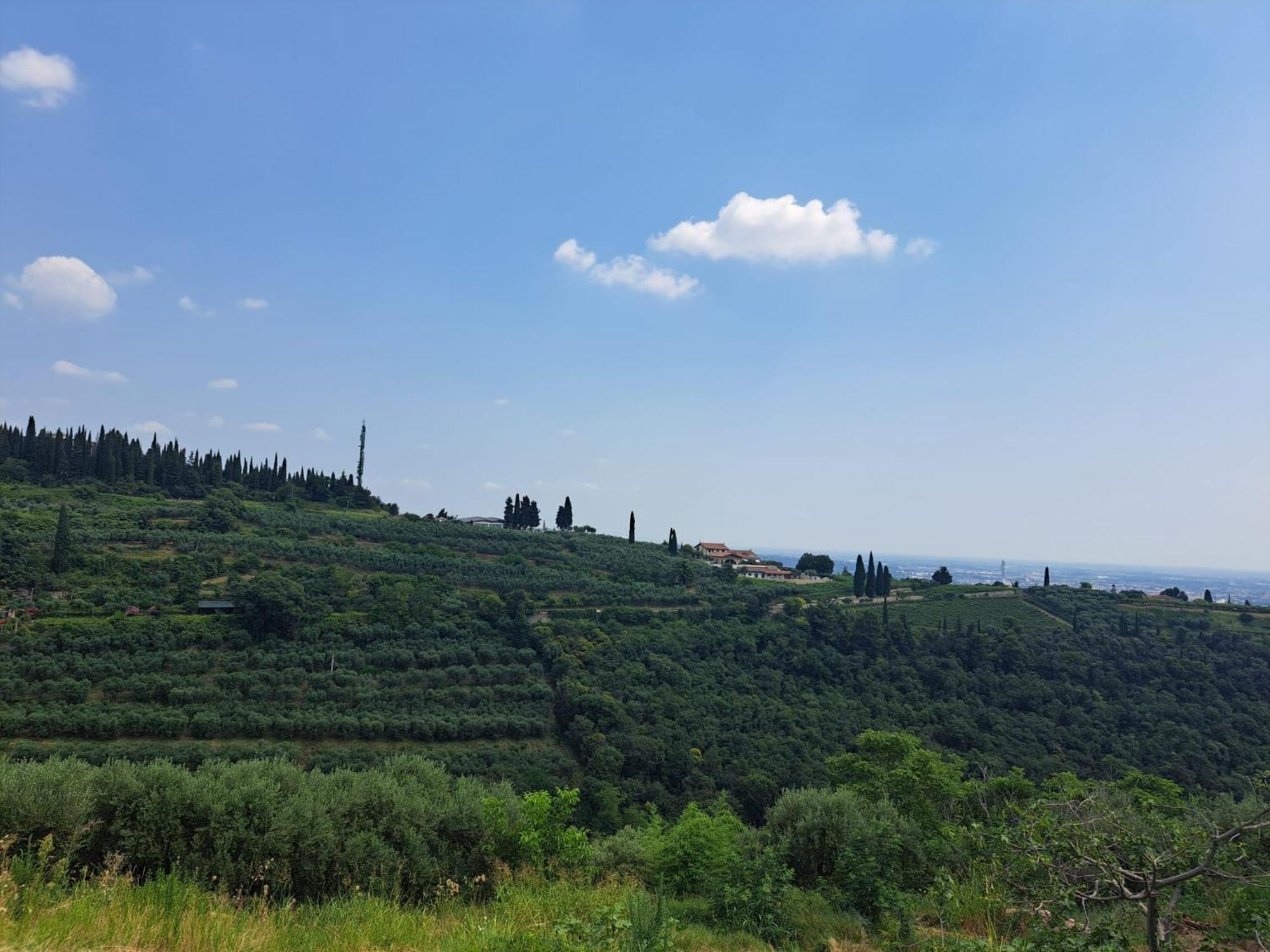 Farm stay La Vineria Di San Mattia *